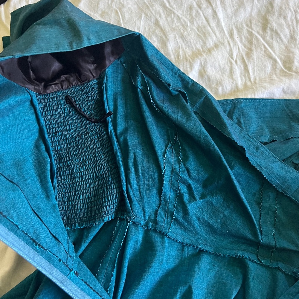 Gorgeous semi formal raw silk dress - Picture 3 of 16